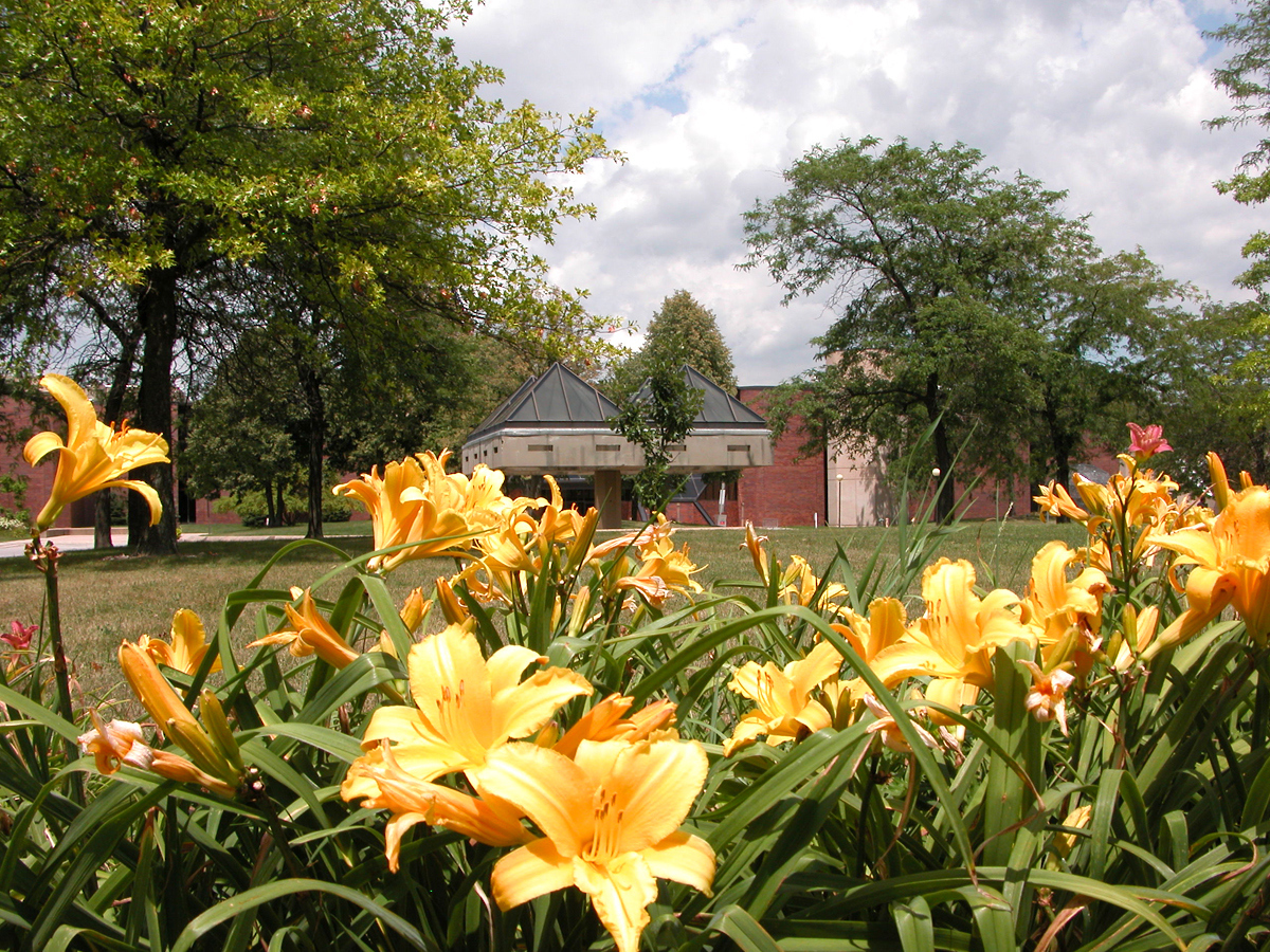 Governors State University Modern Campus Catalog™